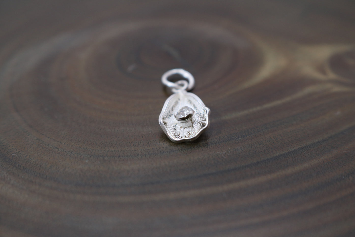Brote | 蕾